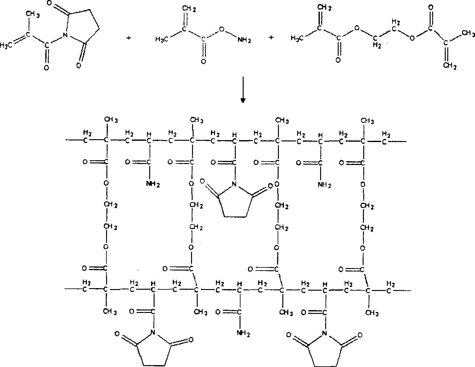 Porous integrated substrate of carrying protein solid and its preparation