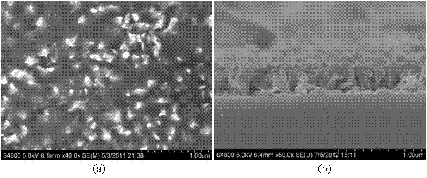 Biomedical calcium phosphate/zinc oxide nano-rod array composite coating on surface of medical metal and preparation method thereof