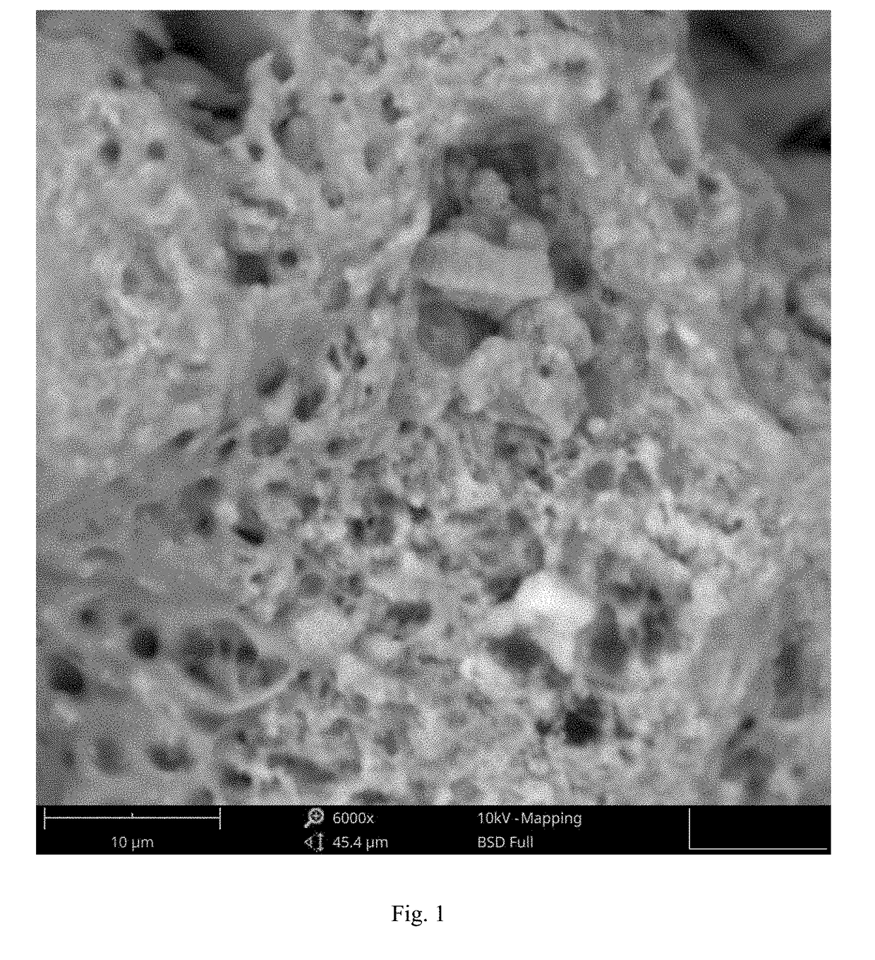 Temozolomide powder formulation