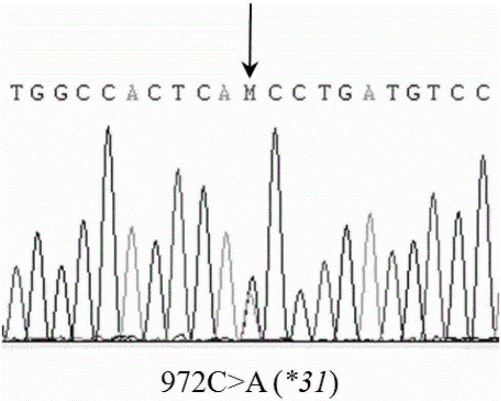 CYP3A4 gene fragment with 972&gt;A mutation, encoded protein fragment and application of CYP3A4 gene fragment