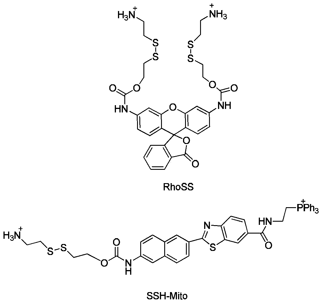 Fluorescent probe and application thereof in dynamic detection of mercaptan