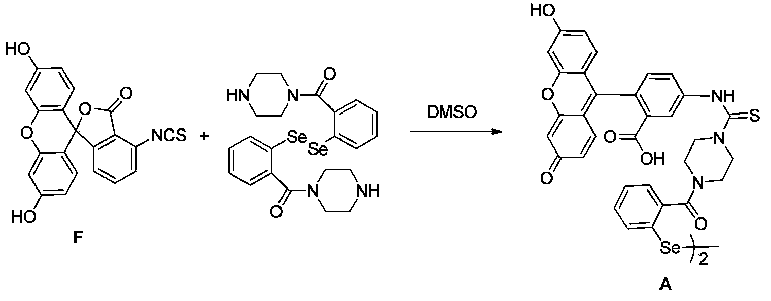 Fluorescent probe and application thereof in dynamic detection of mercaptan