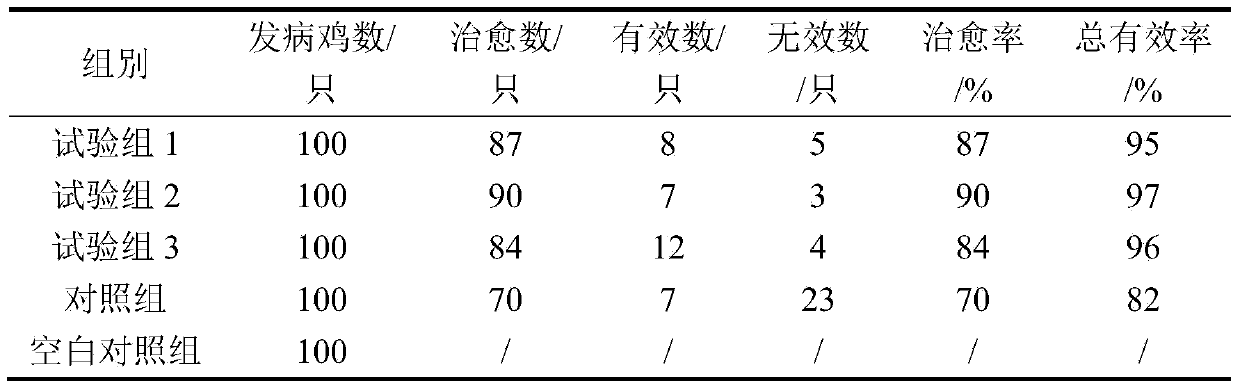 Traditional Chinese medicine composition for preventing and treating poultry escherichia coli disease, microecological preparation, and preparation method