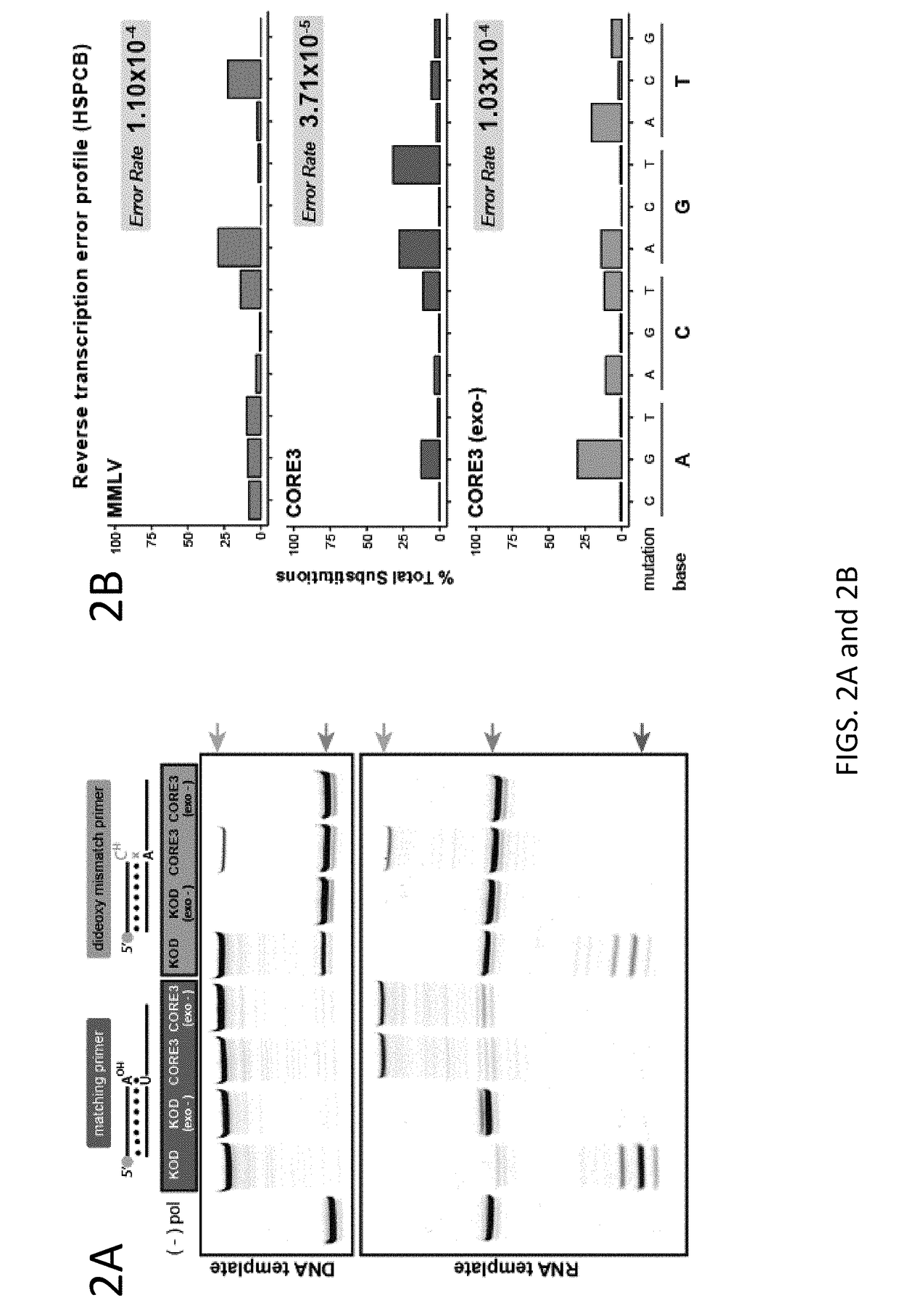 Thermostable reverse transcriptase