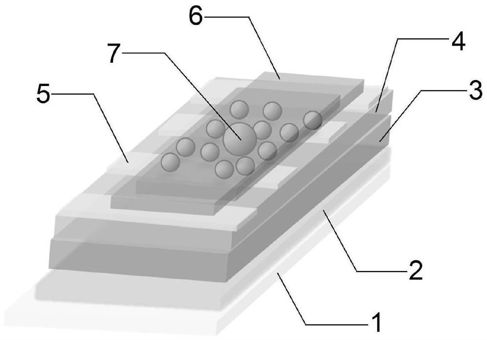 Semitransparent polymer solar battery and production method thereof