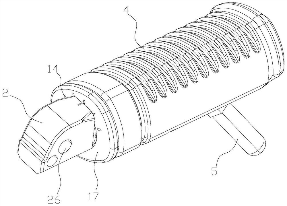 Pedal capable of freely adjusting angle and vehicle body comprising pedal