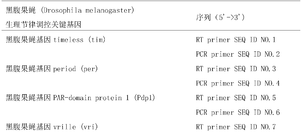 Primer composition, kit and method of use for detection of expression level of key genes regulated by circadian rhythm in Drosophila melanogaster