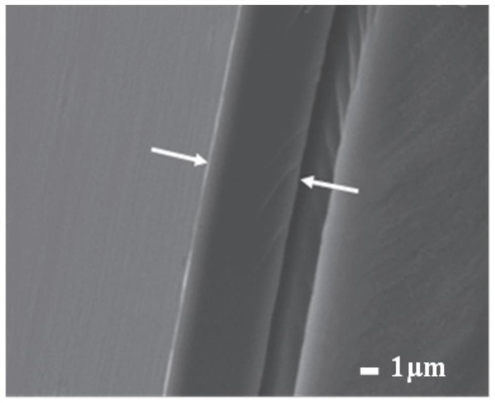 Application of non-release type antimicrobial adhesion coating in antibacterial building materials