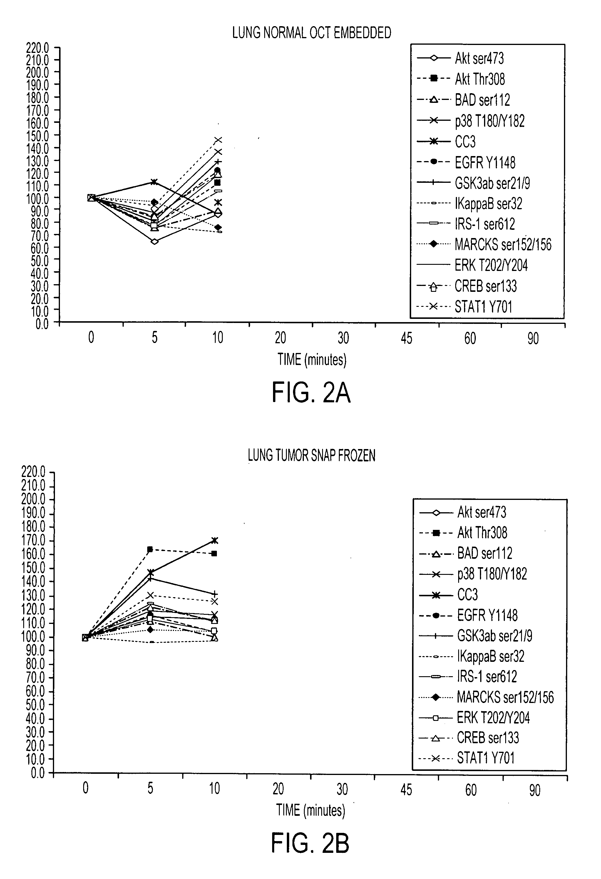 Tissue preservation and fixation method