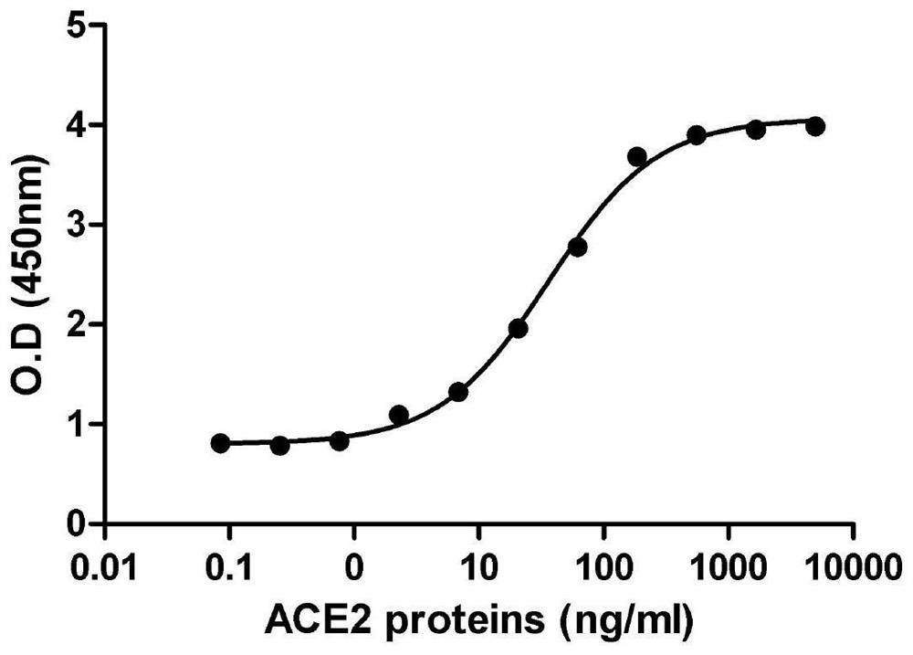 ACE2-Fc fusion protein function test method for treating COVID-19