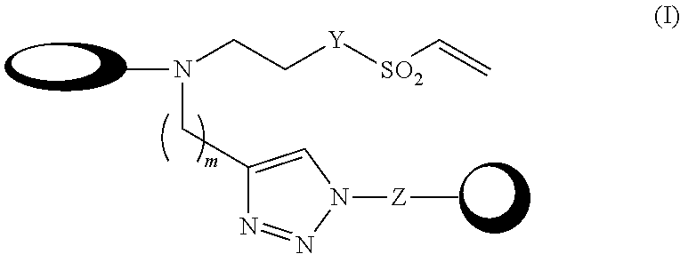 Double-labelling agents based on vinyl sulphone
