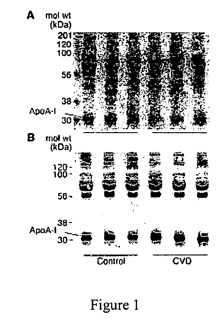 Therapeutic agents and methods for cardiovascular disease