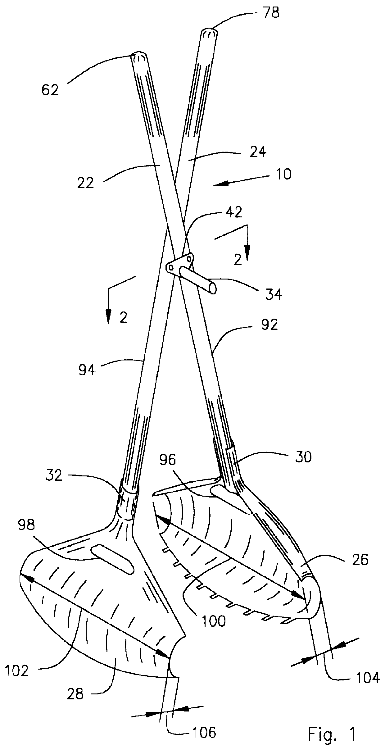 Device for gathering and lifting leaves