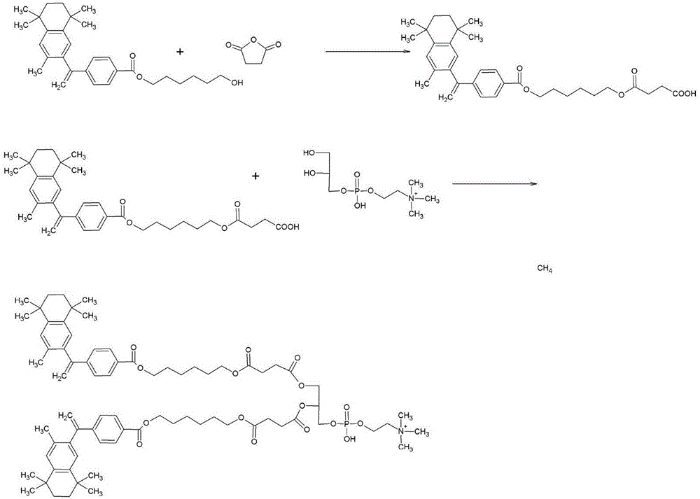 Bexarotene conjugate, drug composition and application thereof