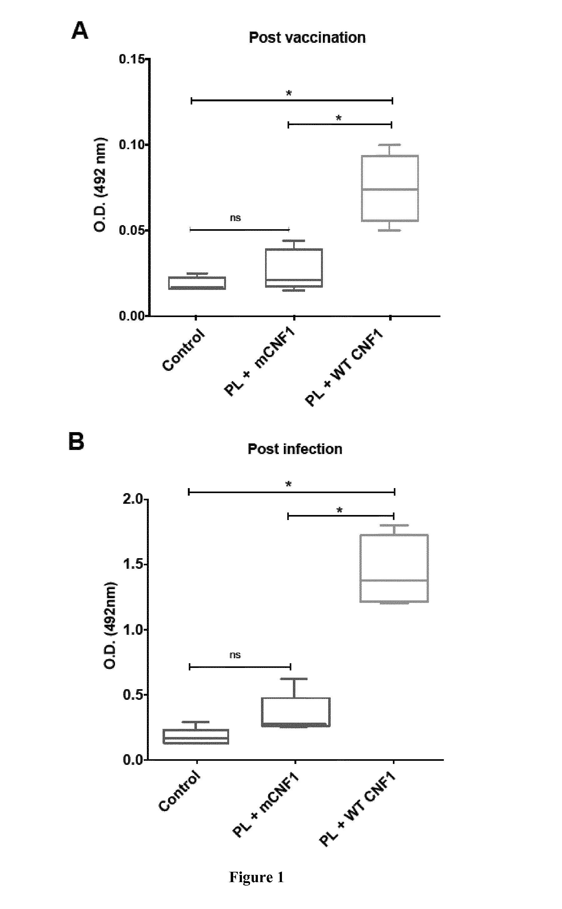 A rho gtpase activator for use as antimicrobial agent