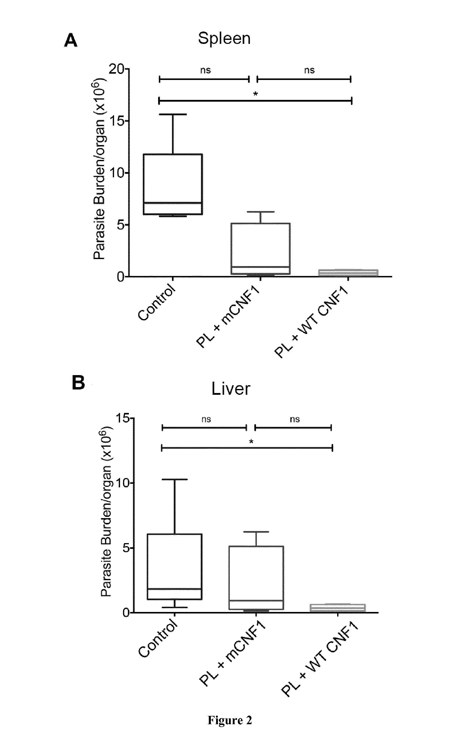 A rho gtpase activator for use as antimicrobial agent