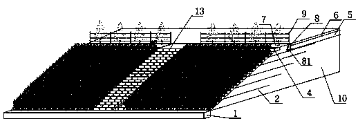 Road ecological slope protection system and construction method
