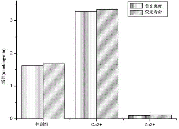 Vesicle for detecting phospholipase A2 activity, preparation method of vesicle and fluorescence probe detection method of phospholipase A2 activity