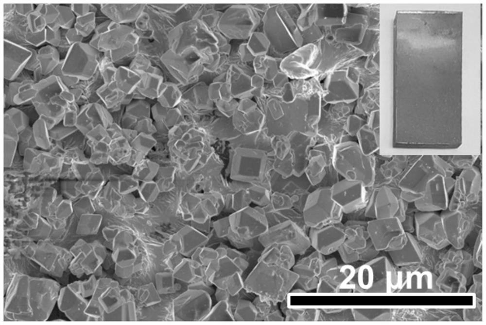 Embedded photoelectrode based on low-temperature liquid metal integration and large-scale preparation method