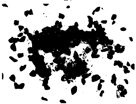 A preparation method of antimony selenide micron single crystal particles