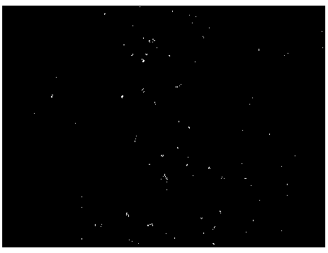 A preparation method of antimony selenide micron single crystal particles