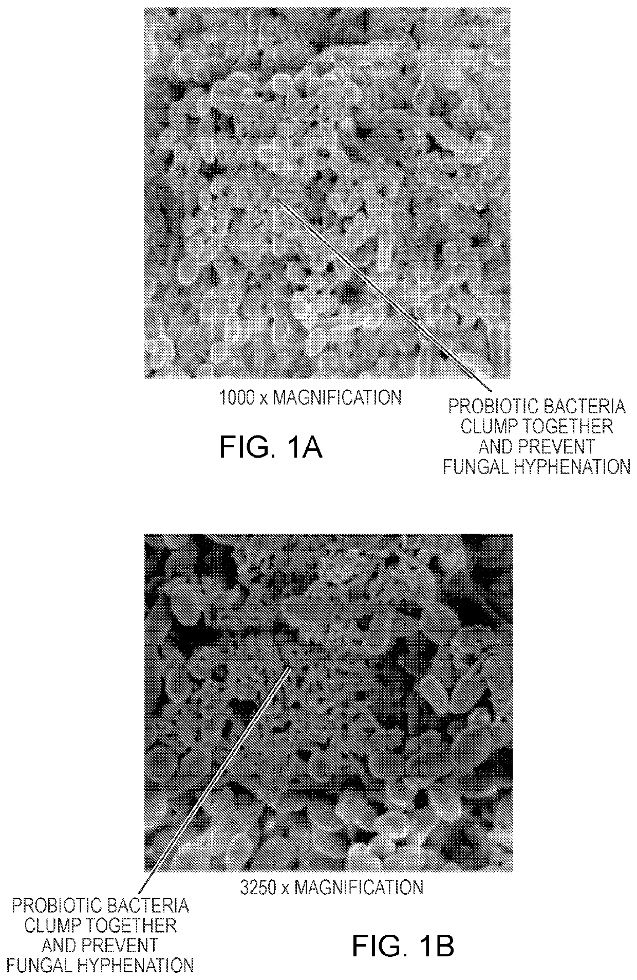 Compositions and methods for promoting a healthy microbial flora in a mammal
