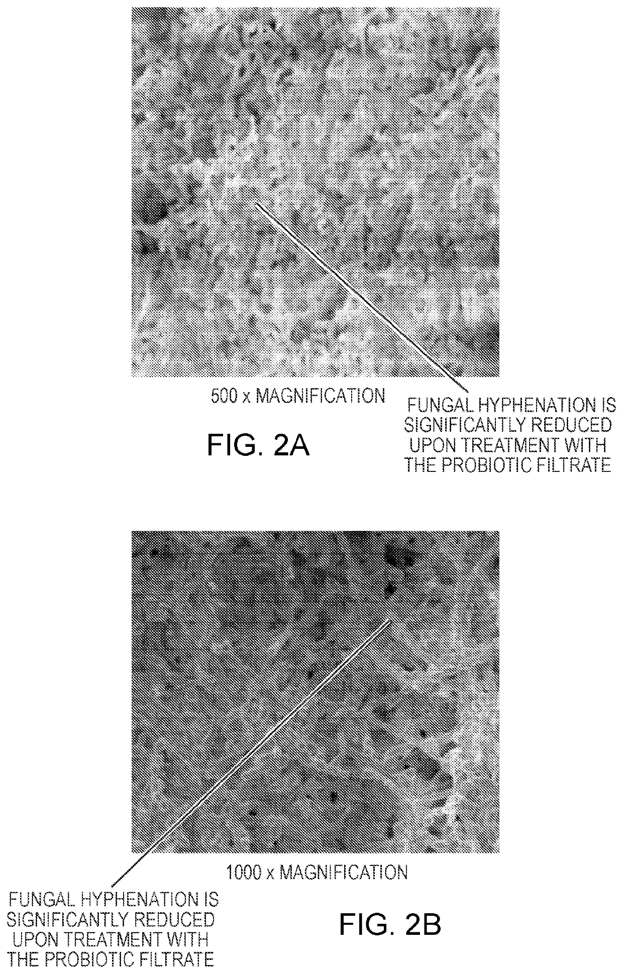 Compositions and methods for promoting a healthy microbial flora in a mammal