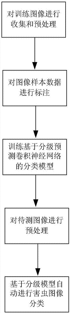 Pest image classification method based on grading-prediction convolutional neural network