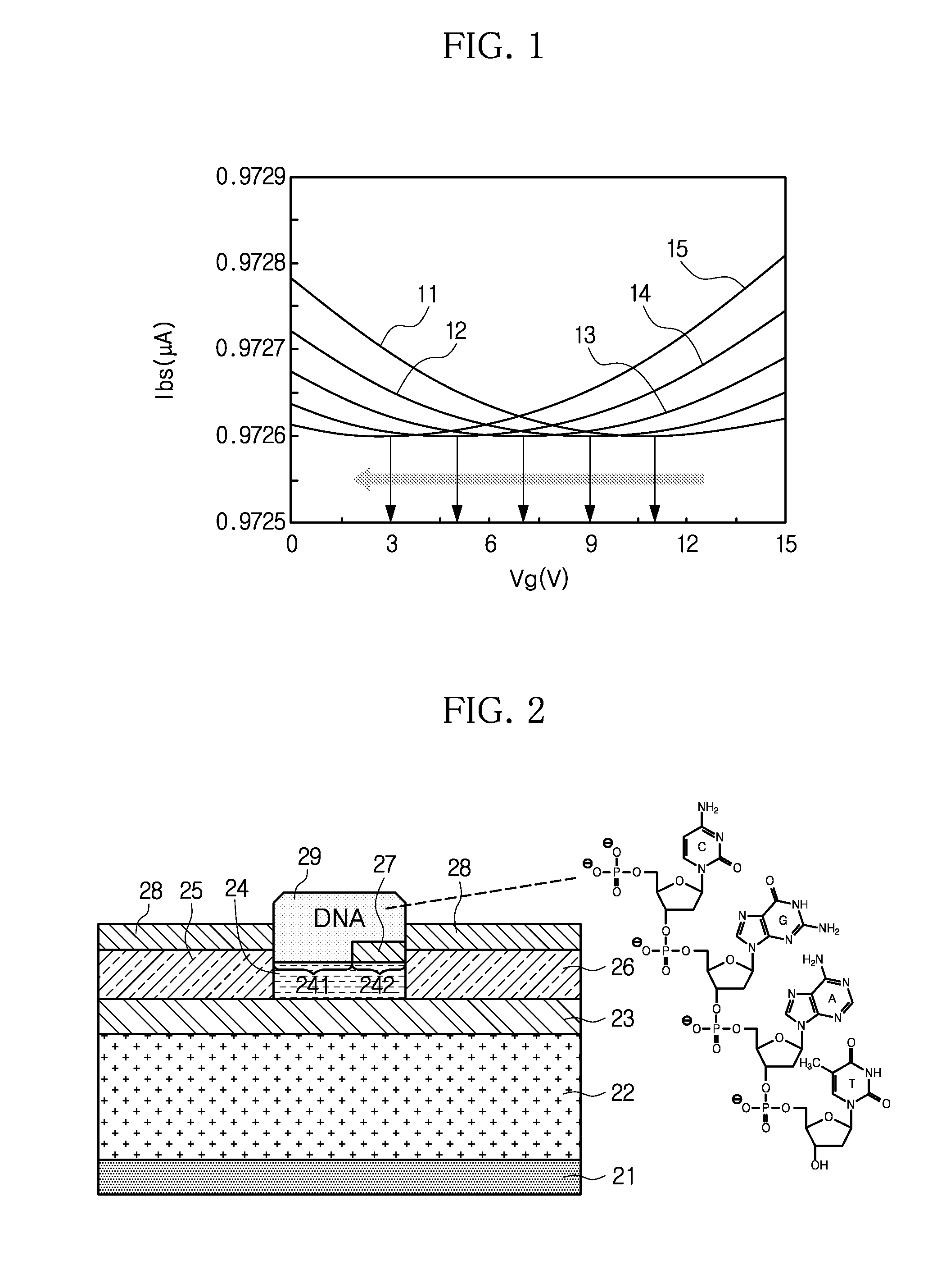 Method for forming pn junction in graphene with application of DNA and pn junction structure formed using the same