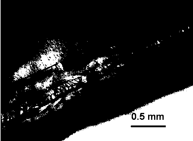 A preparation method of polymer microfluidic chip based on hydrogel 3D printing