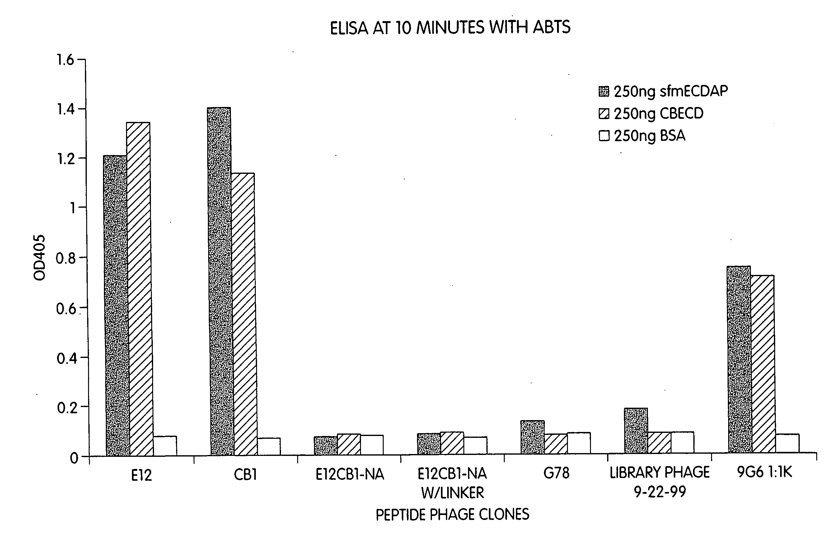 Binding peptides specific for the extracellular domain of ErbB2 and uses therefor