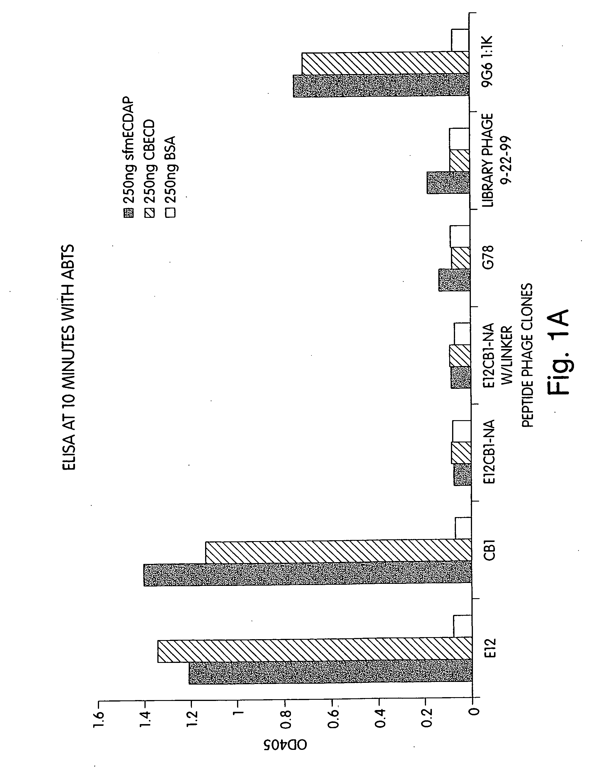 Binding peptides specific for the extracellular domain of ErbB2 and uses therefor