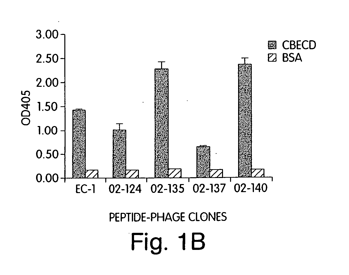 Binding peptides specific for the extracellular domain of ErbB2 and uses therefor