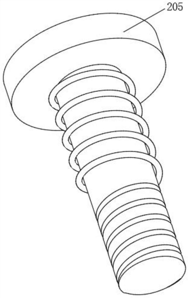 Rapeseed particle screening device for rapeseed oil