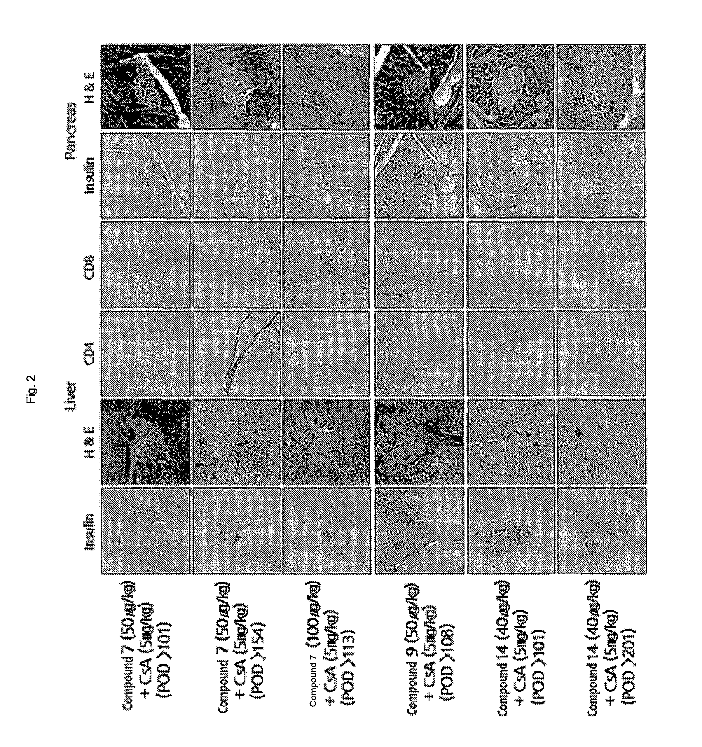 Colchicine derivatives or pharmaceutically acceptable salts thereof, method for preparing said derivatives, and pharmaceutical composition comprising said derivatives