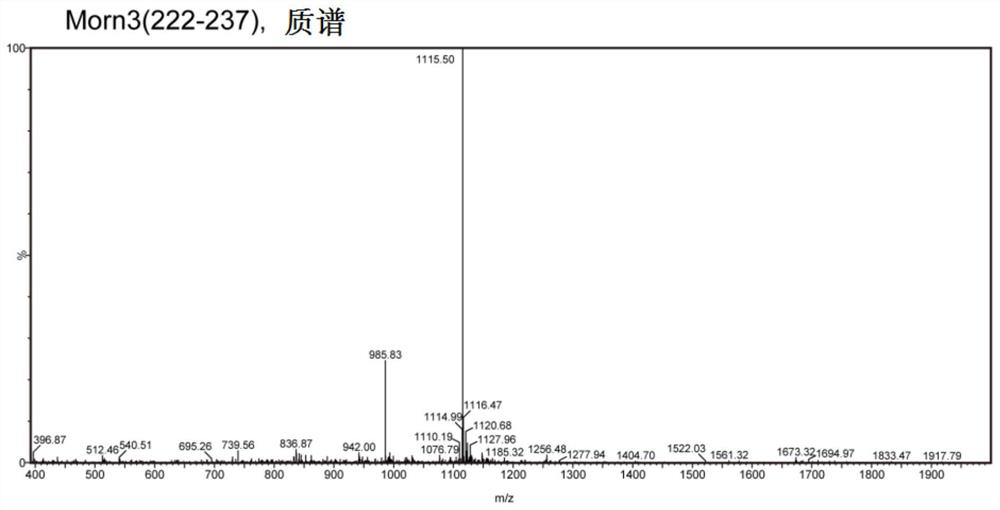 A kind of polypeptide and its application