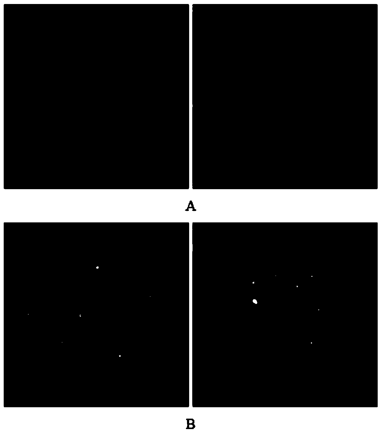 Twist gene expression detection reagent kit