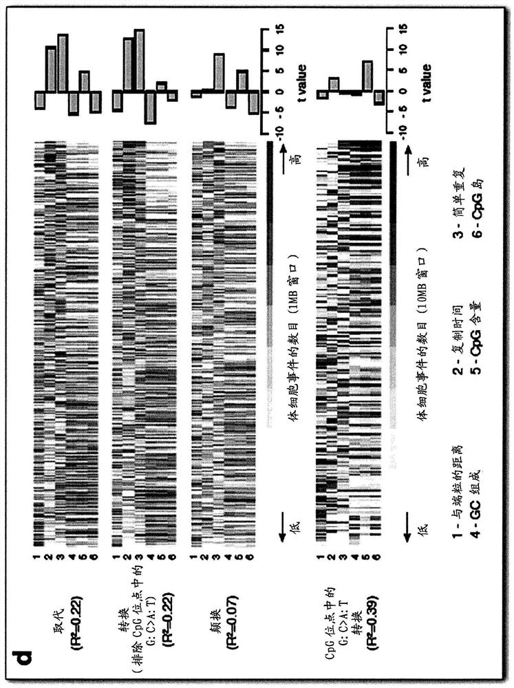 Novel markers for detecting microsatellite instability in cancer and determining synthetic lethality with inhibition of the DNA base excision repair pathway