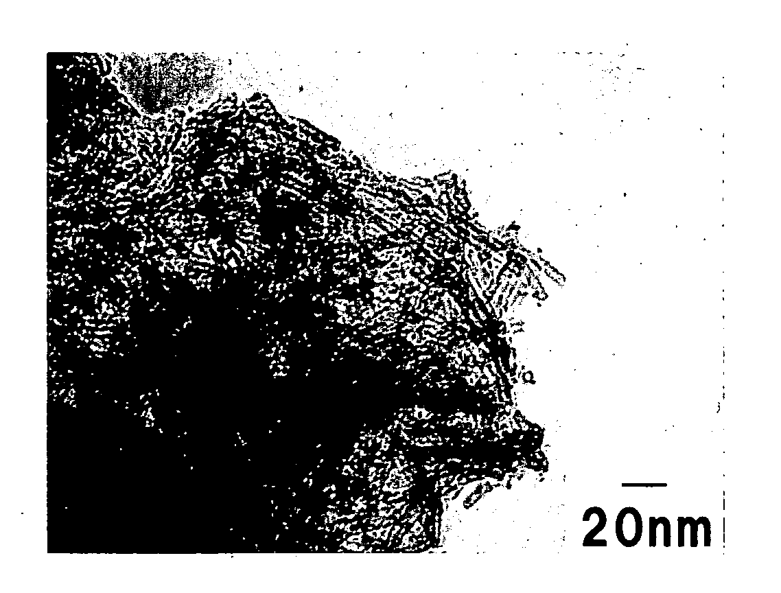 Noble metal nanotube and method for preparation thereof