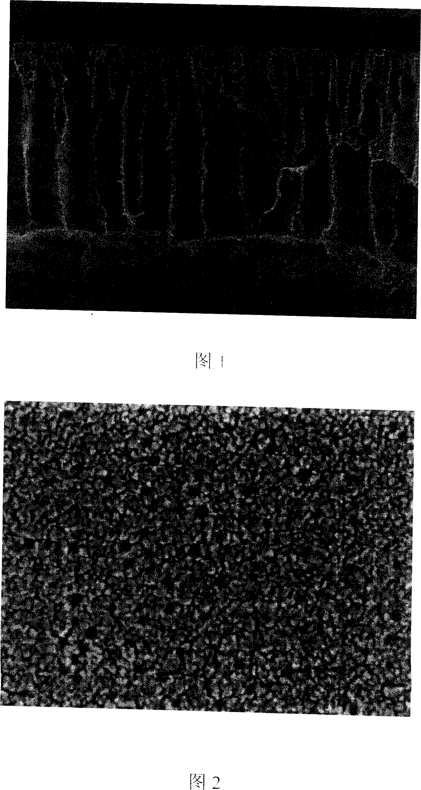 Large aperture polyethersulfone film, preparation method and usage thereof