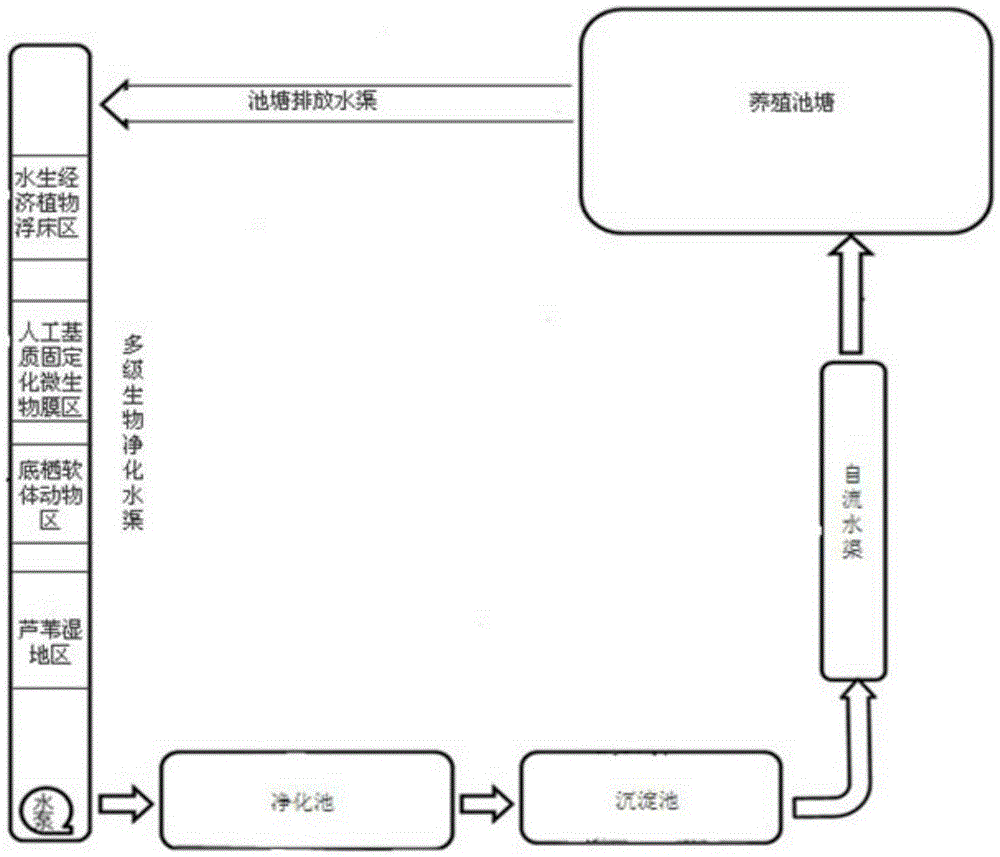 Closed-recirculation multistage biological purification system