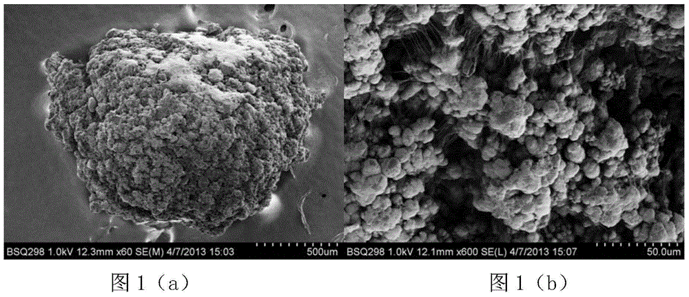 Catalyst component used for ethylene homopolymerization or copolymerization reaction, and catalyst thereof