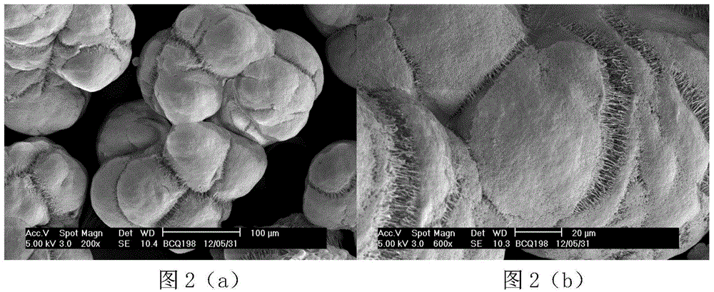 Catalyst component used for ethylene homopolymerization or copolymerization reaction, and catalyst thereof