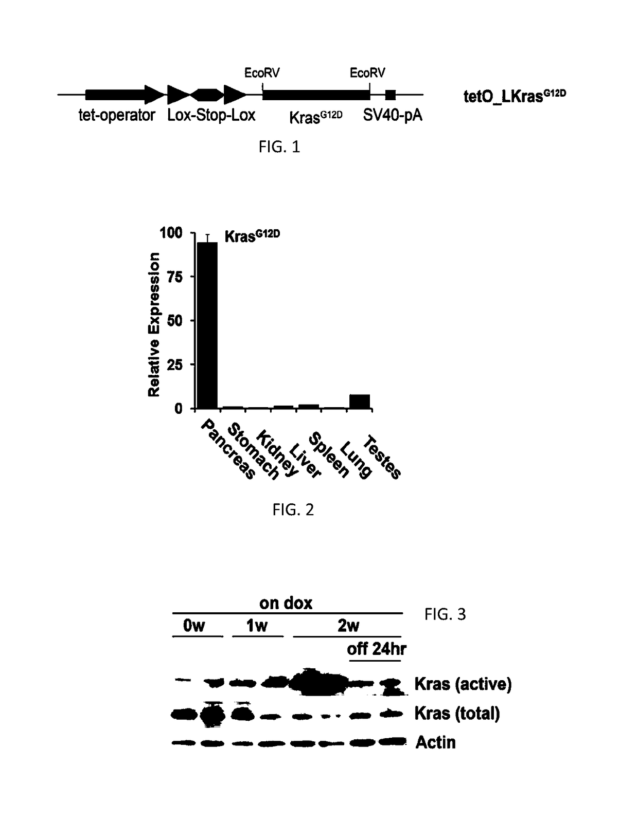 Methods for diagnosing and treating oncogenic kras-associated cancer
