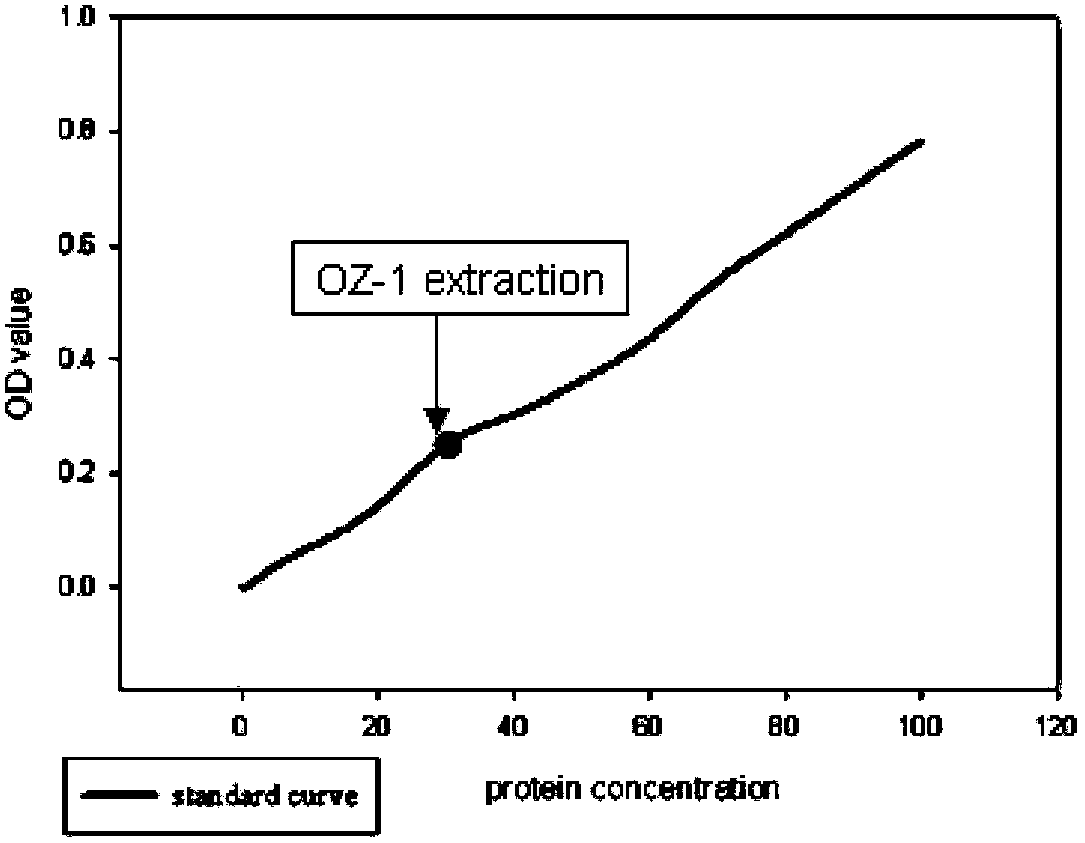 Method for importing exogenous DNA (deoxyribonucleic acid) into nannochloropsis oculata chloroplast and related chloroplast genome sequence