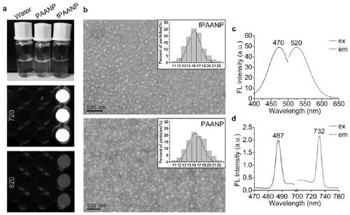 A kind of self-fluorescent polyacrylamide nanoparticle and its preparation method and application