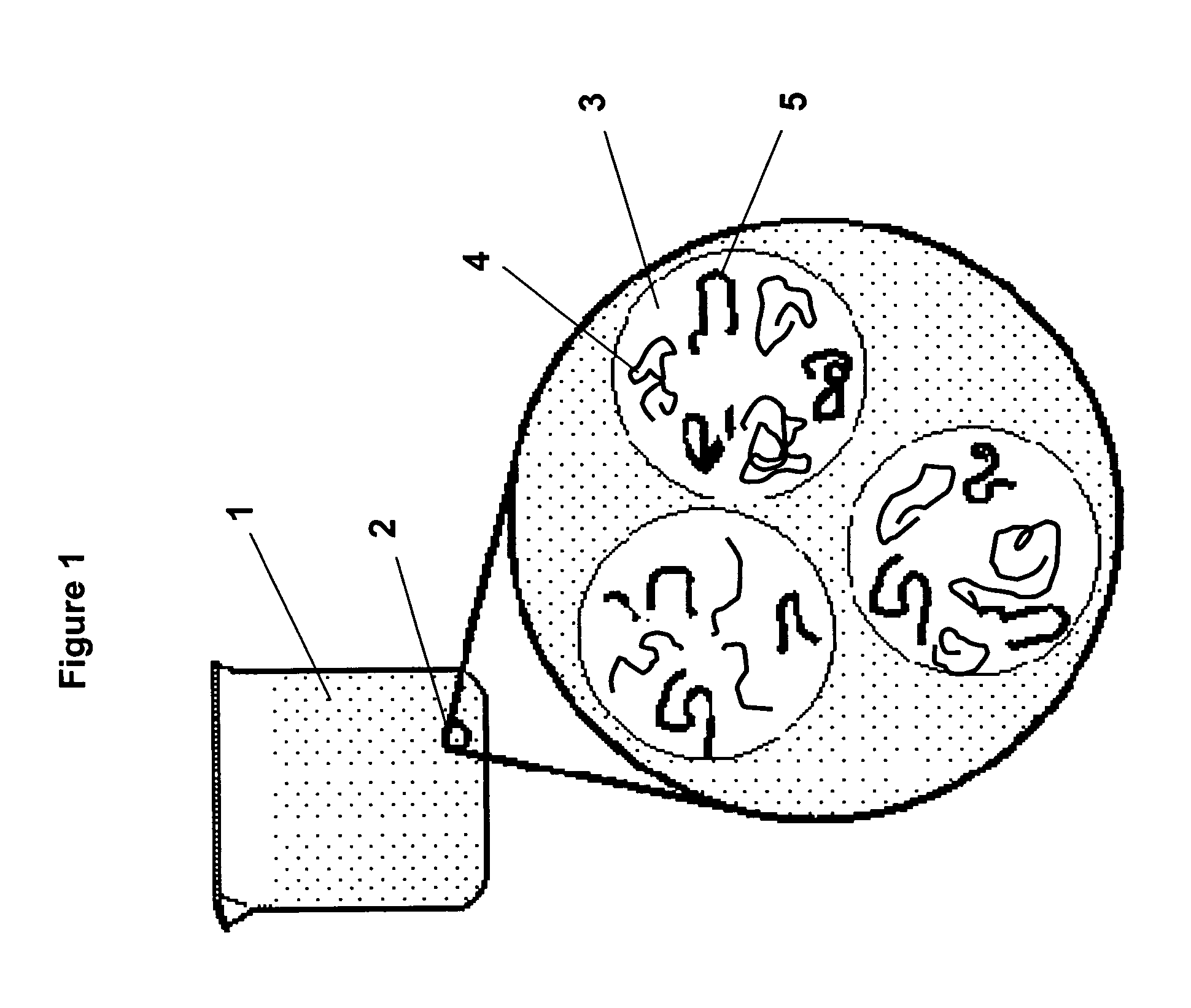 Bimolecular inverse emulsion polymer