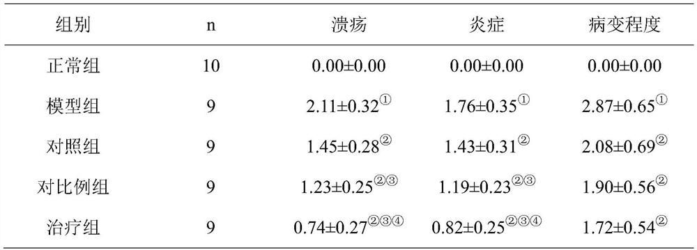 Traditional Chinese medicine composition for preventing and treating ulcerative colitis and eczema as well as preparation method and application thereof