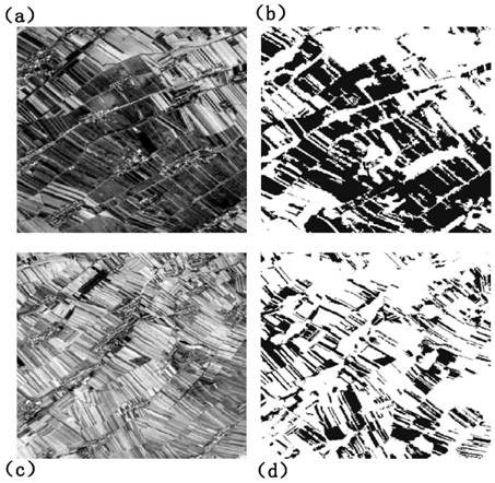 Machine learning multispectral remote sensing image crop straw out-of-field extraction method and system