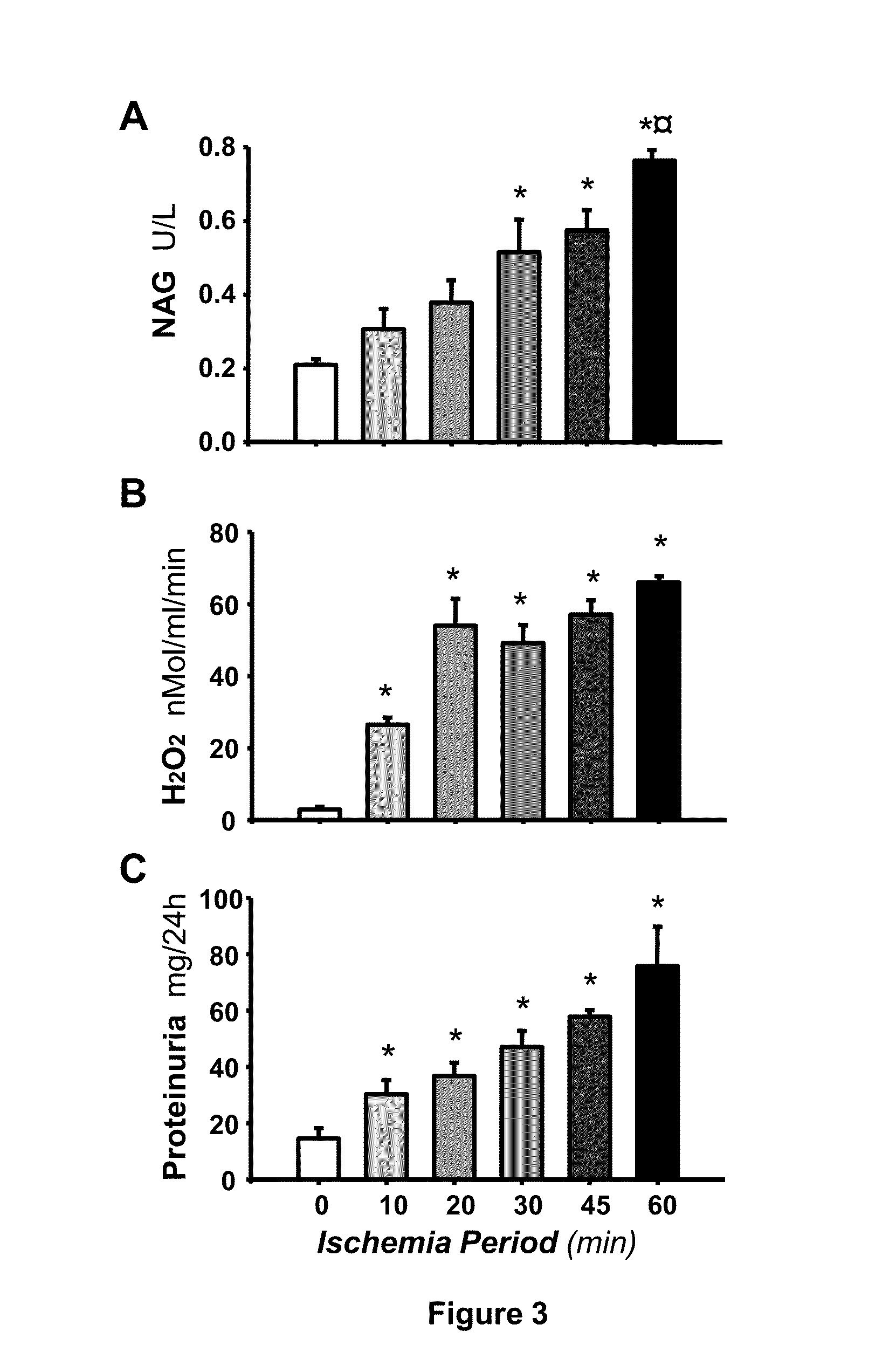 Diagnostic method for detecting acute kidney injury using heat shock protein 72 as a sensitive biomarker